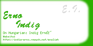 erno indig business card